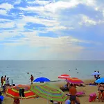 A 50 M Dal Mare