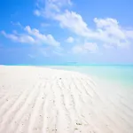 公寓 A 50 M Dal Mare